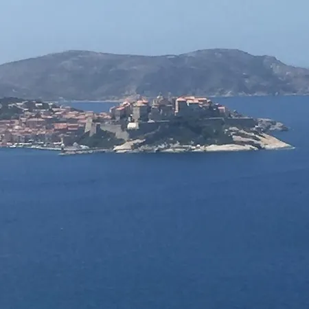 Calvi Au Soleil Apartment